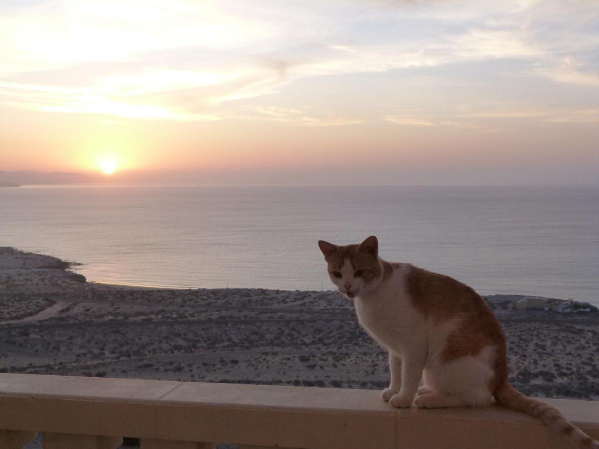 Costa Calma / Playa Paraiso Laguna Blu المظهر الخارجي الصورة